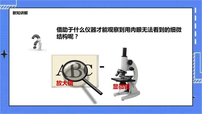 冀教版生物七上1.1 走进生物实验室 课件+教案+练习04