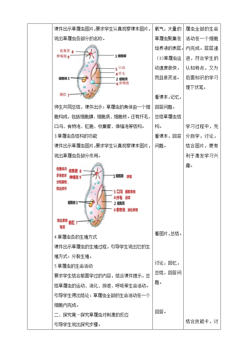 冀教版生物七上2.4 单细胞生物 课件+教案+练习+素材02