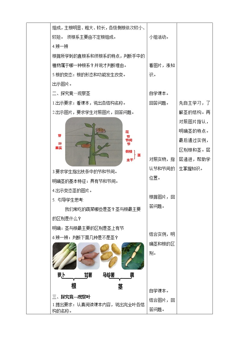 冀教版生物七上3.1 在实验室观察生物 课件+教案+练习+素材02