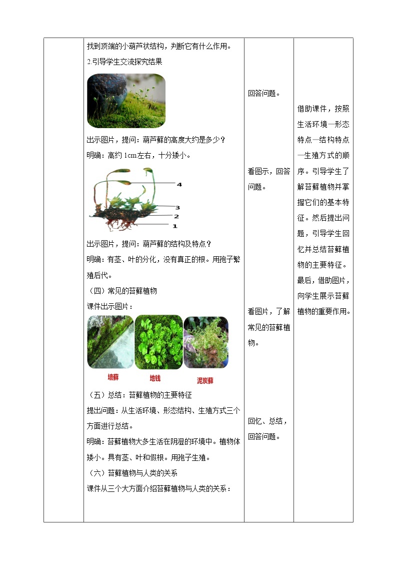 冀教版生物七上3.4 苔藓植物和蕨类植物 课件+教案+练习02