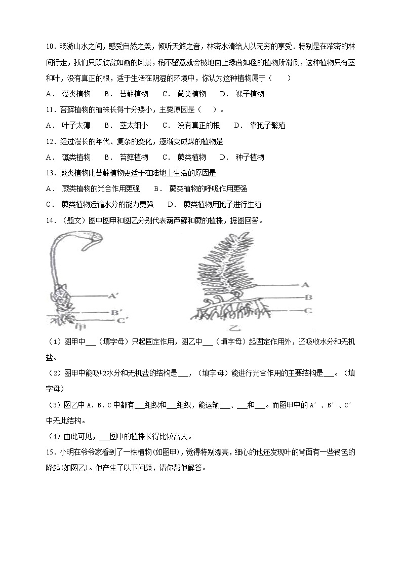 冀教版生物七上3.4 苔藓植物和蕨类植物 课件+教案+练习02