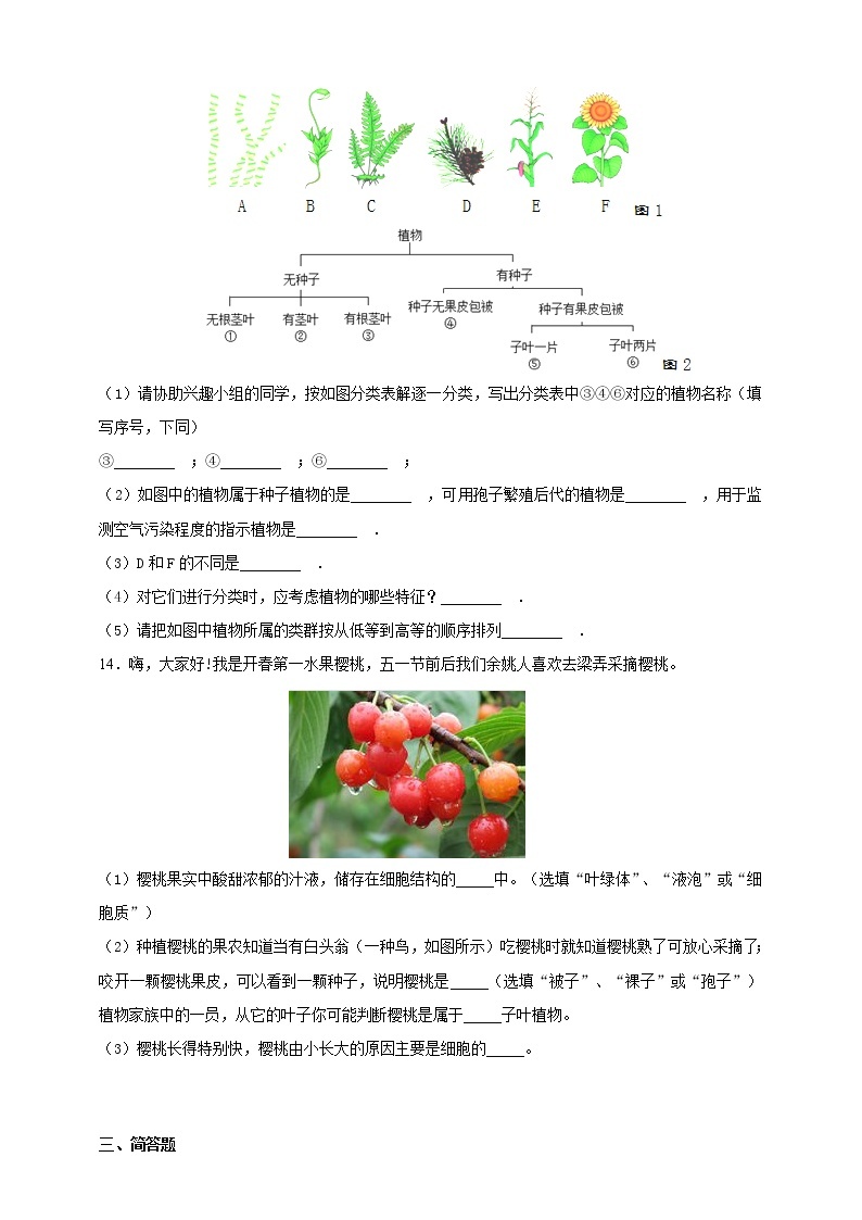 冀教版生物七上3.6被子植物第1课时 课件+教案+练习03