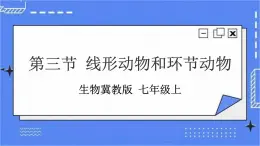 冀教版生物七上4.3线形动物和环节动物  课件+教案+练习