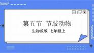 冀少版七年级上册第五节 节肢动物一等奖ppt课件