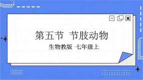 冀少版七年级上册第五节 节肢动物一等奖ppt课件