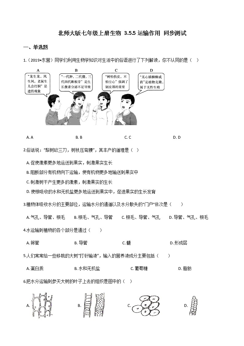 北师大版七年级上册生物 3.5.5运输作用 同步测试第1页