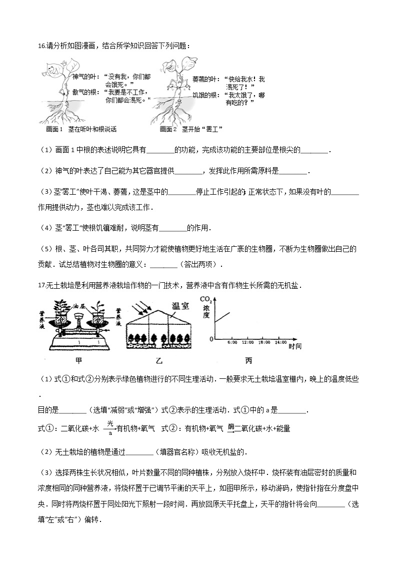 北师大版七年级上册生物 3.5.3吸收作用 同步测试03