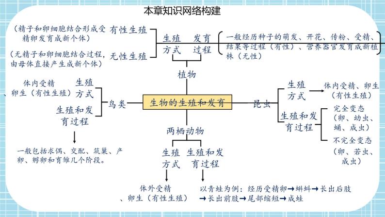 第七单元第1章 生物的生殖和发育（复习课件）——2022-2023学年人教版生物八年级下册单元综合复习02