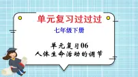 单元复习06 人体生命活动的调节【知识梳理】——2022-2023学年人教版生物七年级下册单元综合复习课件PPT