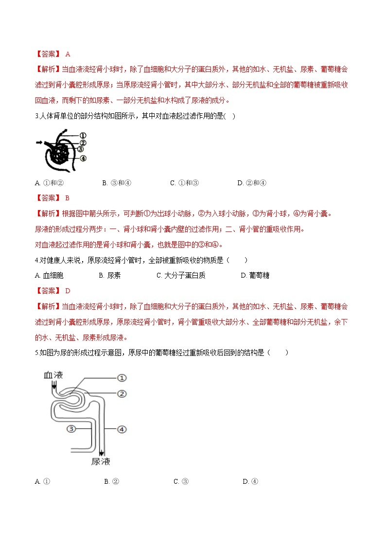 单元复习04 人体内废物排入环境（单元检测卷）——2022-2023学年人教版生物七年级下册单元综合复习（原卷版+解析版）02