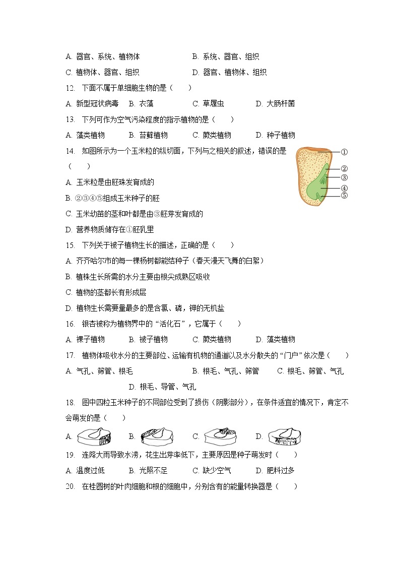 2022-2023学年黑龙江省齐齐哈尔市龙江县育英学校八年级（下）月考生物试卷（3月份）（含解析）03