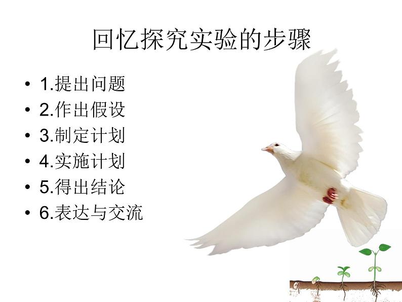 种子的萌发使用课件 人教版初中生物课件ppt03