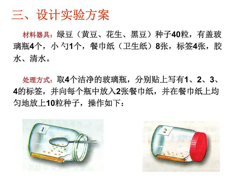 种子的萌发使用课件 人教版初中生物课件ppt05