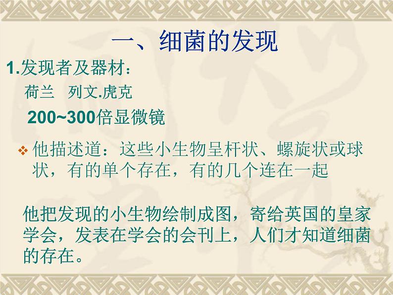 6.1.1细菌 人教版初中生物课件ppt第3页