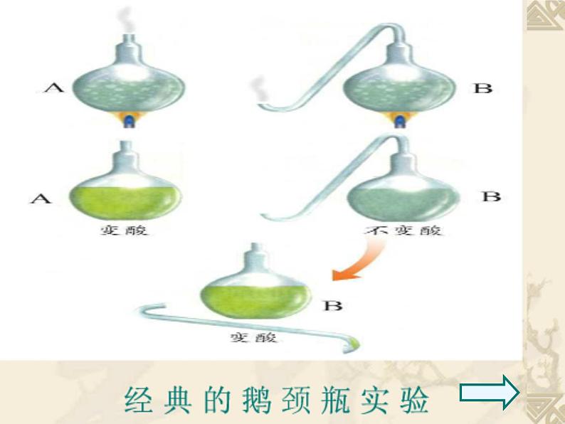 6.1.1细菌 人教版初中生物课件ppt第5页