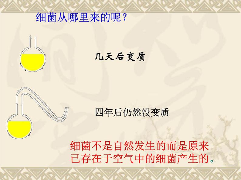 6.1.1细菌 人教版初中生物课件ppt第6页
