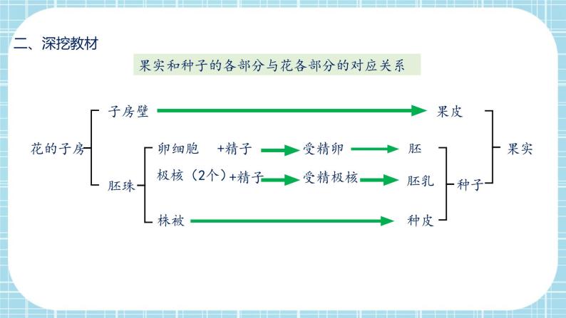 第七单元第1章 生物的生殖和发育（复习课件）——2022-2023学年人教版生物八年级下册单元综合复习06