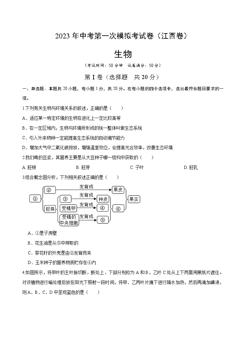 2023年中考第一次模拟考试卷生物(江西卷)(考试版)01