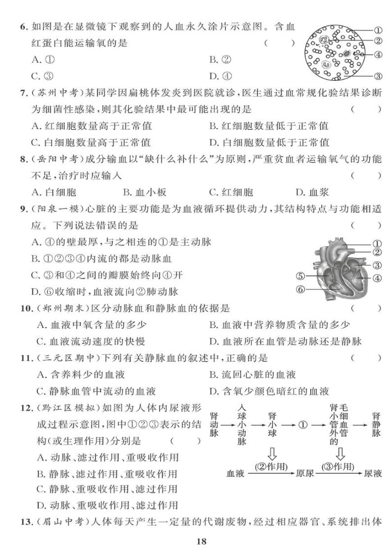 （2023春）济南版生物初中七年级下册-黄冈360°定制课时_期中测试题（一）02