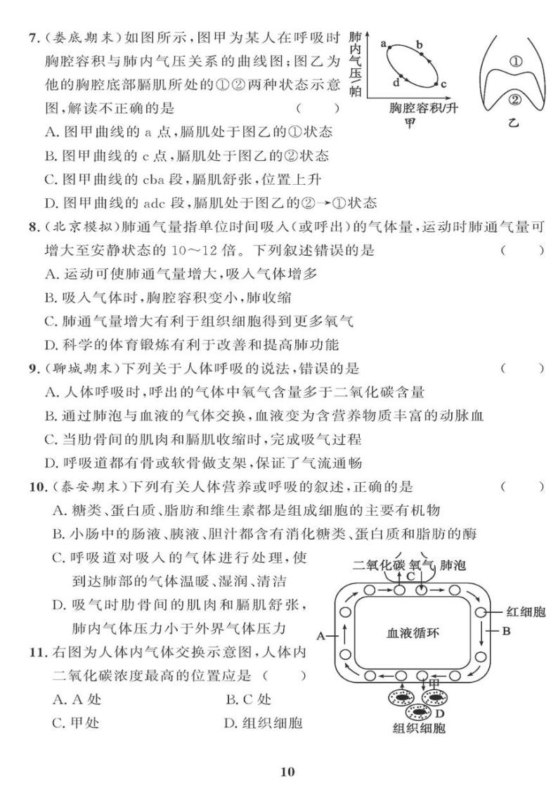 （2023春）人教版生物初中七年级下册-黄冈360°定制课时_第三章检测题02