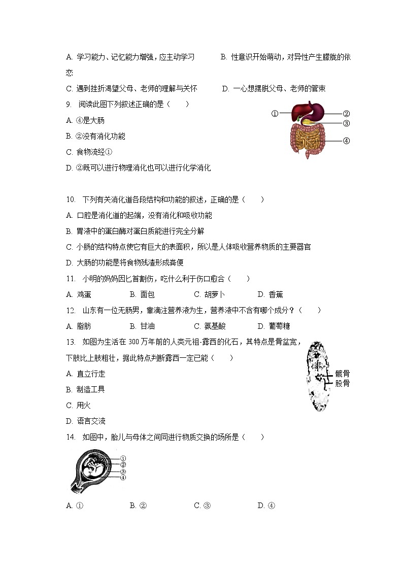 2022-2023学年黑龙江省绥化市安达市吉星岗二中七年级(下)月考生物试卷(4月份)(含解析)第2页