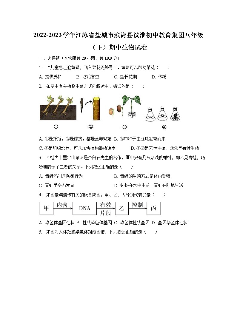 2022-2023学年江苏省盐城市滨海县滨淮初中教育集团八年级(下)期中生物试卷(含解析)01