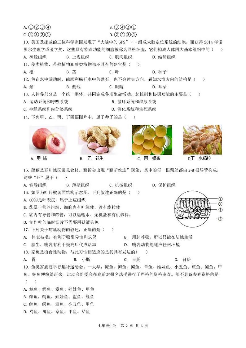 江苏省泰州市海陵区2022-2023学年七年级下学期期中生物试卷02