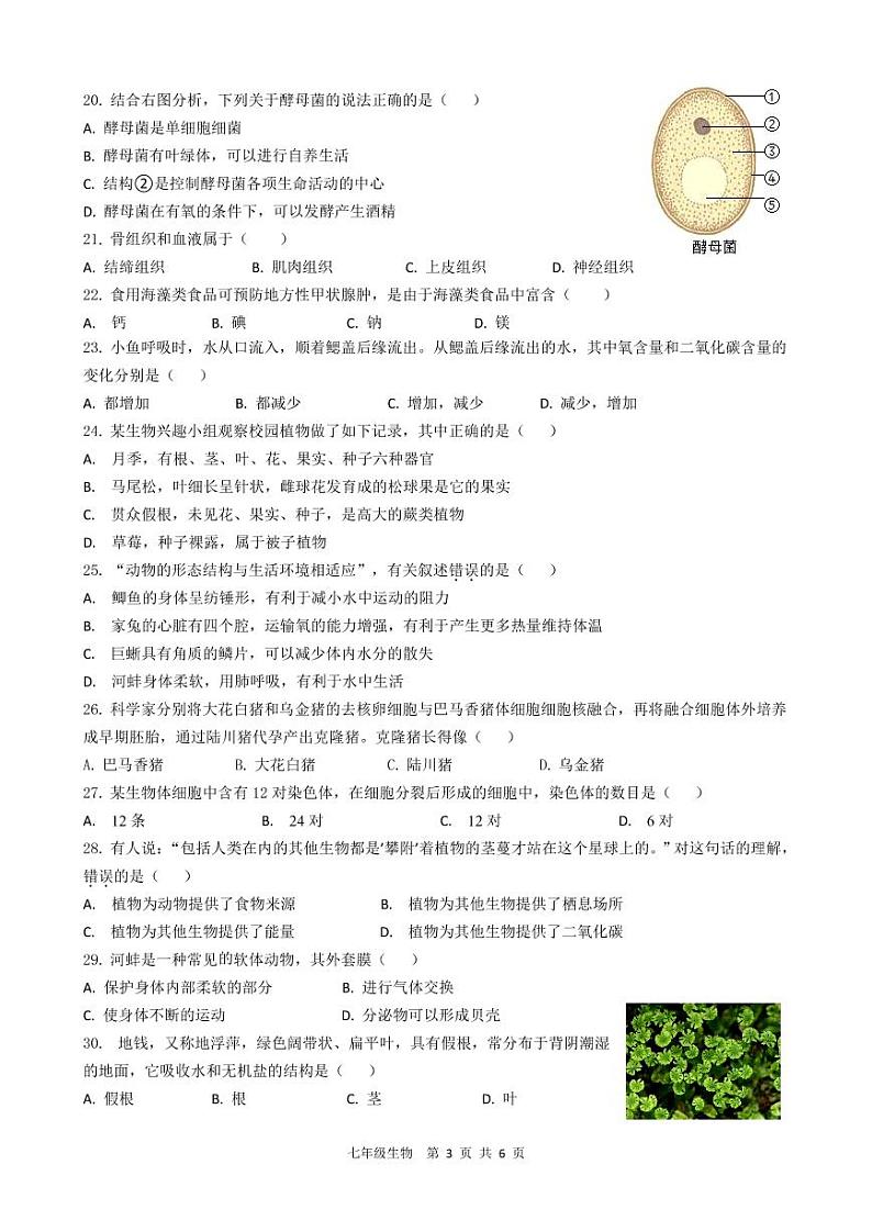 江苏省泰州市海陵区2022-2023学年七年级下学期期中生物试卷03