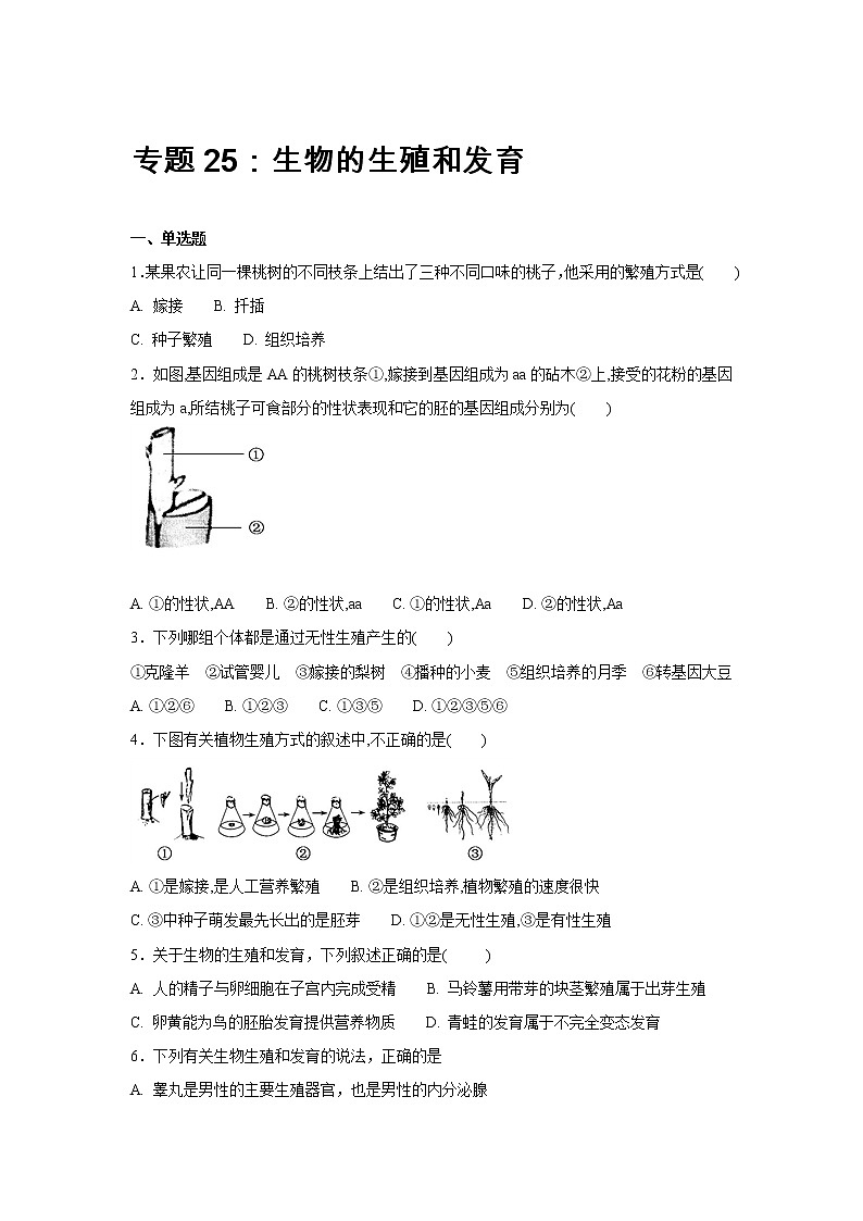 中考生物会考复习专项训练25:生物的生殖与发育(含答案)第1页