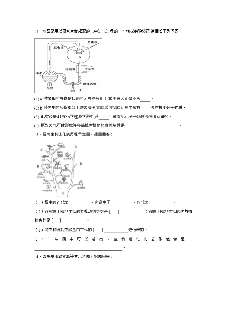 中考生物会考复习专项训练27：生物的进化（含答案，Word版）03