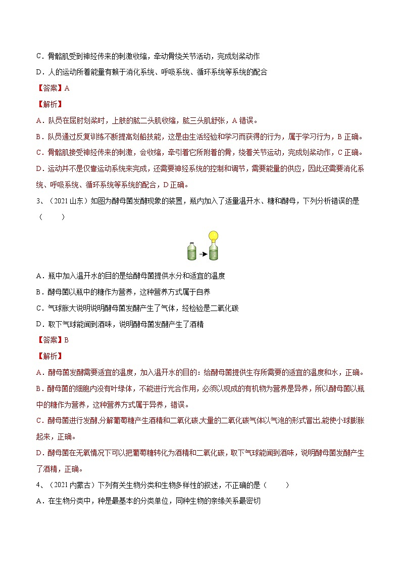 中考生物二轮复习专题06 生物圈中的其他生物(教师版)第3页