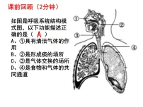 初中生物人教版 (新课标)七年级下册第二节 发生在肺内的气体交换备课课件ppt