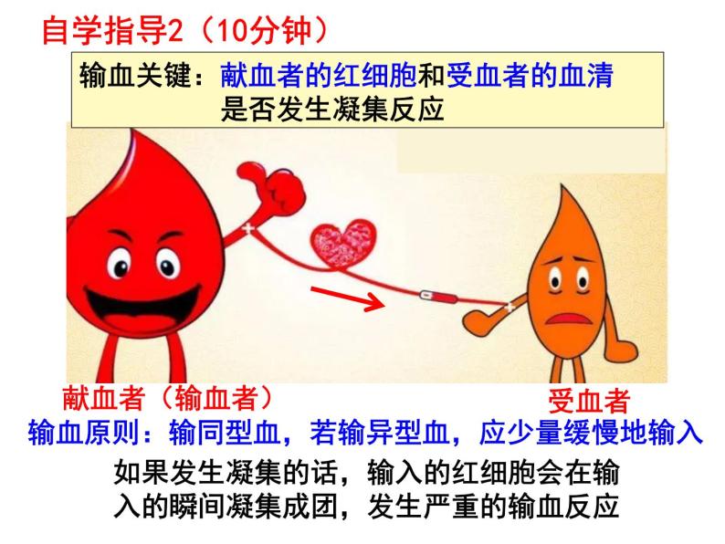 七年级下册人教版生物4.4.4 输血与血型课件PPT06