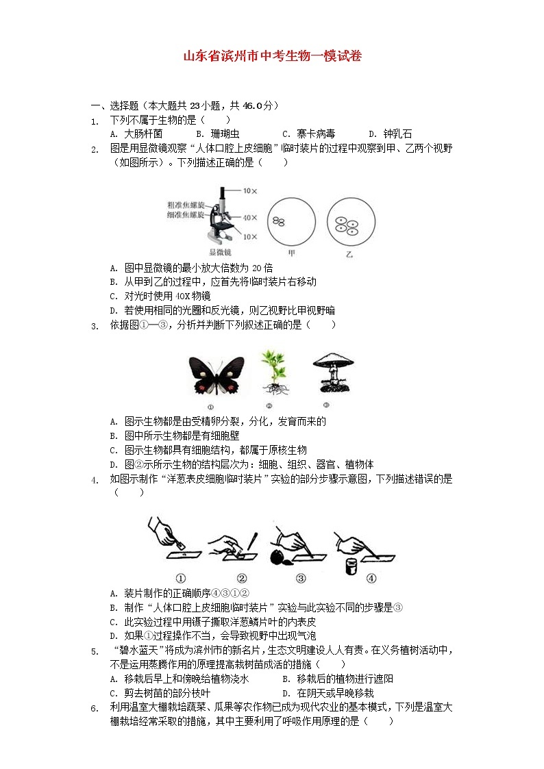 山东省滨州市中考生物一模试卷 (含答案)01