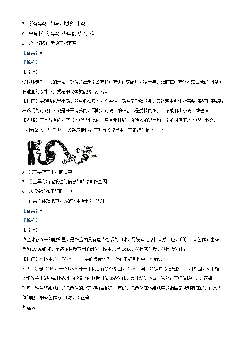辽宁省铁岭市2020年中考生物试题(教师版)03