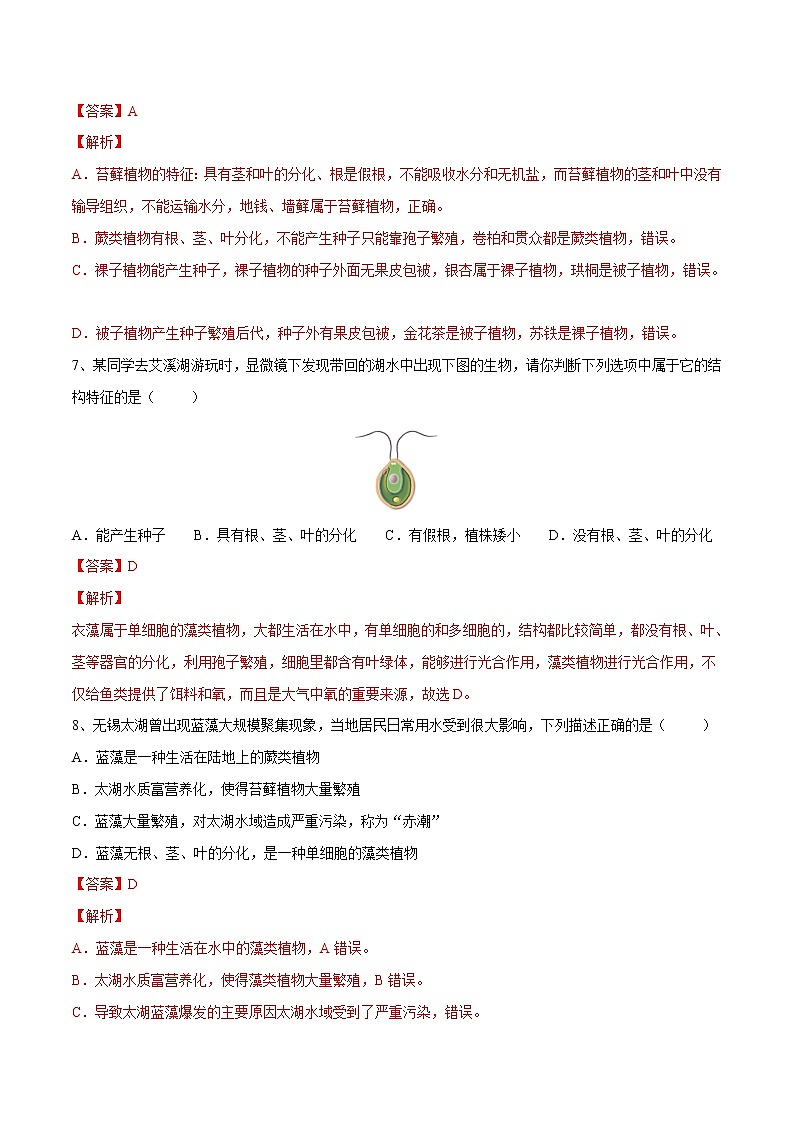 中考生物一轮复习试题精炼专题04 生物圈中有哪些绿色植物(教师版)第3页