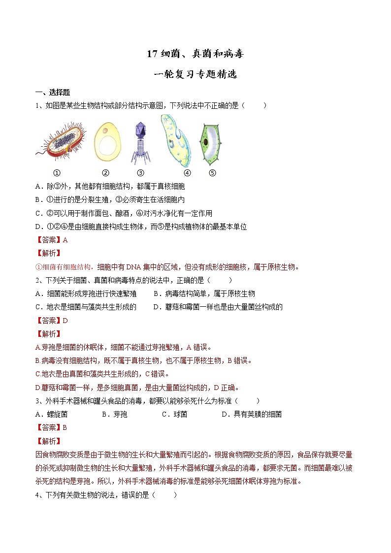 中考生物一轮复习试题精炼专题17 细菌、真菌和病毒(教师版)01