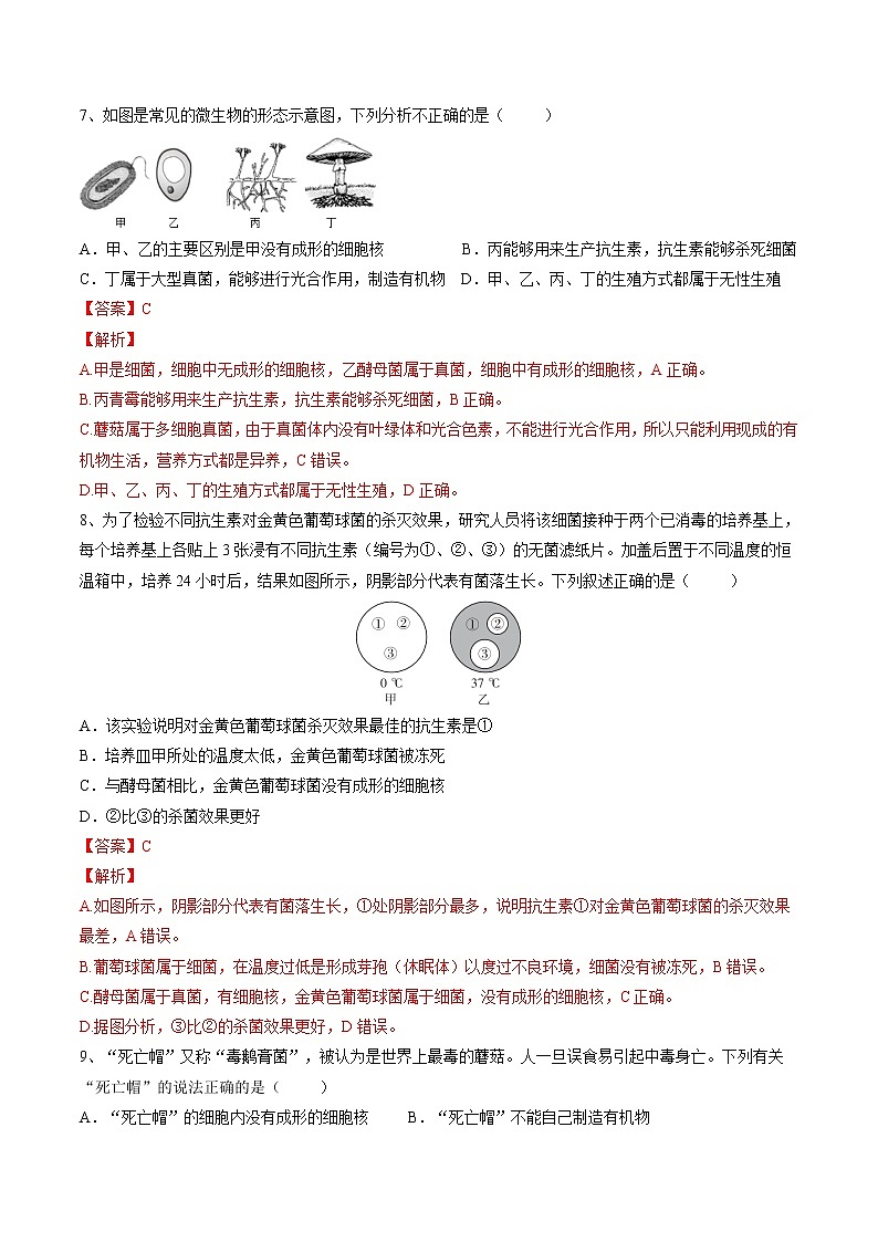 中考生物一轮复习试题精炼专题17 细菌、真菌和病毒(教师版)03