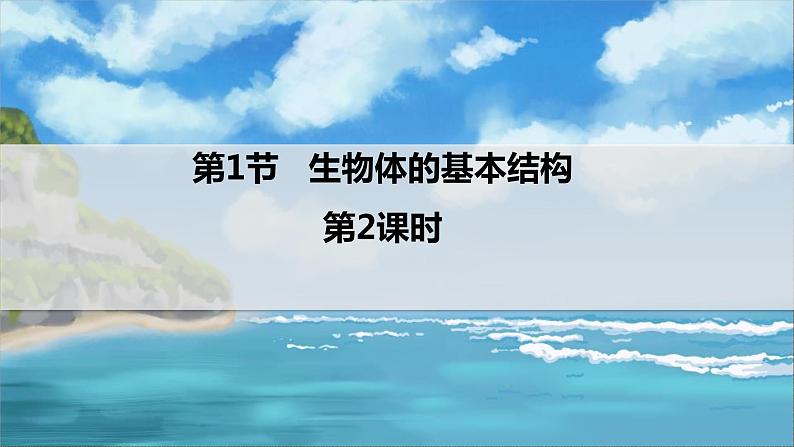 七下生物(苏科版)8.1 生物体的基本结构 第2课时 PPT课件+教案02