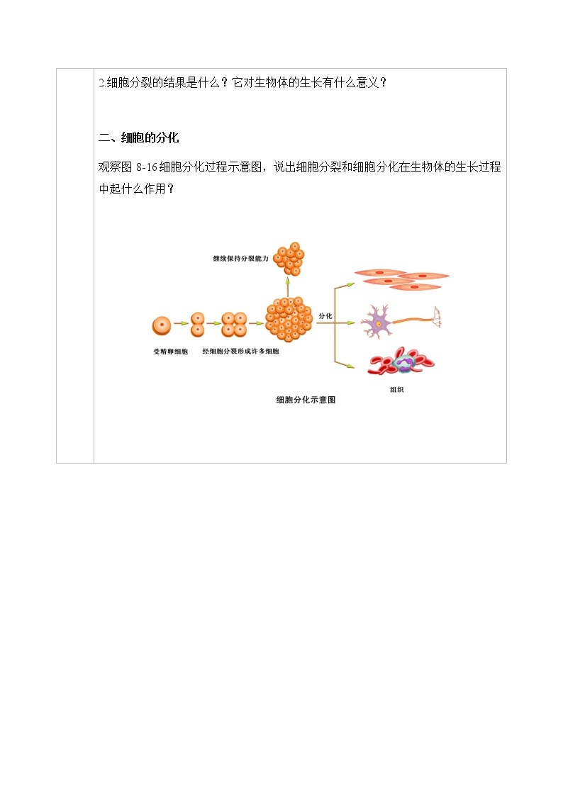 七下生物（苏科版）8.2 细胞的分裂和分化 PPT课件+教案02