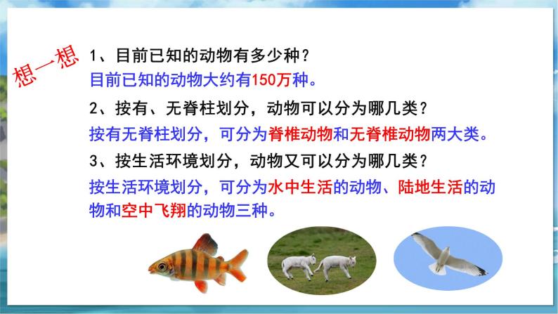 七下生物（苏科版）10.1 水中的动物 第1课时 PPT课件+教案05