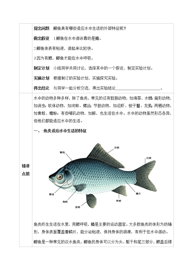 七下生物（苏科版）10.1 水中的动物 第1课时 PPT课件+教案02