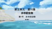 苏科版七年级下册第1节 水中的动物图文课件ppt