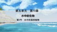 初中生物苏科版七年级下册第2节 水中的藻类植物教学课件ppt