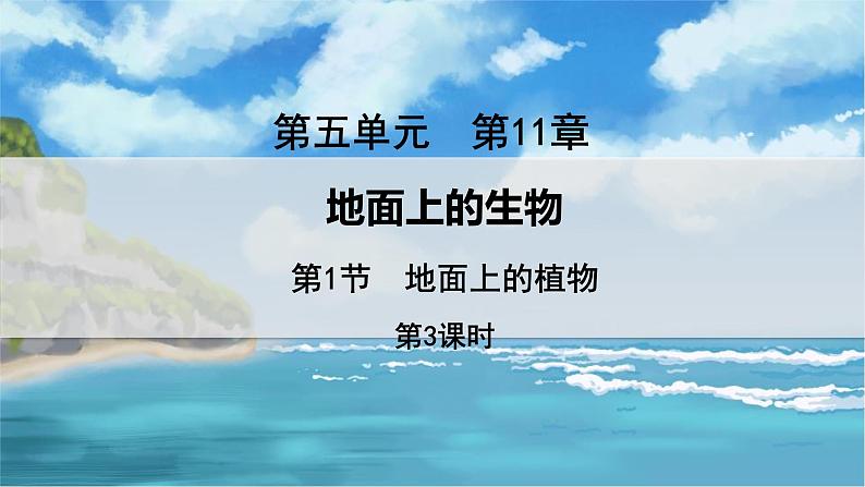 教学同步课件七下生物(苏科版)11.1 地面上的植物 第3课时第1页