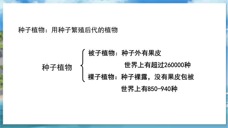 七下生物（苏科版）11.1 地面上的植物 第3课时 PPT课件+教案03