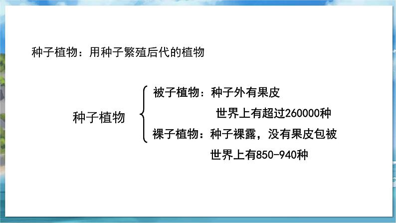 教学同步课件七下生物(苏科版)11.1 地面上的植物 第3课时第3页