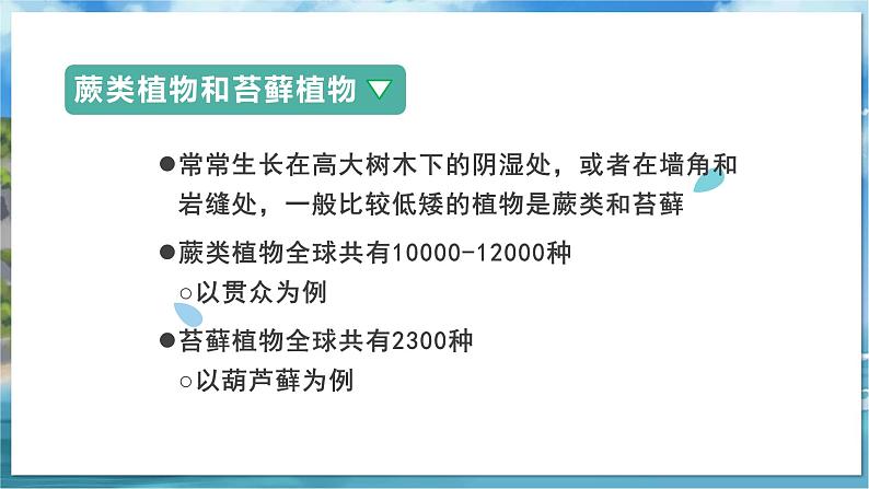 教学同步课件七下生物(苏科版)11.1 地面上的植物 第3课时第5页