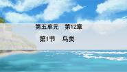 苏科版七年级下册第5单元 环境中生物的多样性第12章 空中的生物第1节 鸟类授课ppt课件