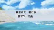 初中生物苏科版七年级下册第2节 昆虫教案配套课件ppt